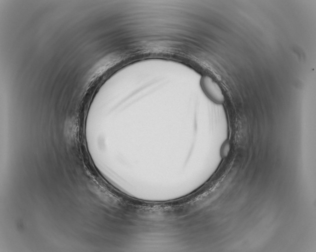 X0000111360922200908211254