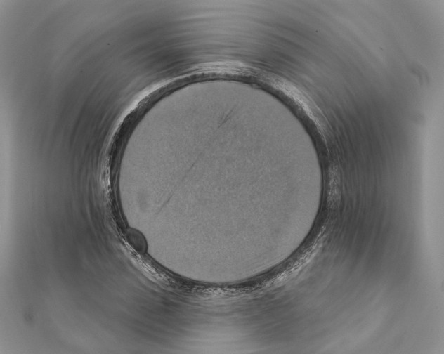 X0000111360923200908211254