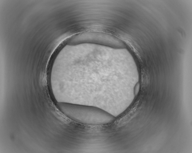 X0000111360924200908211254