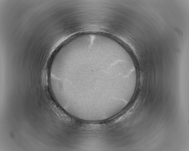 X0000111360925200908211254