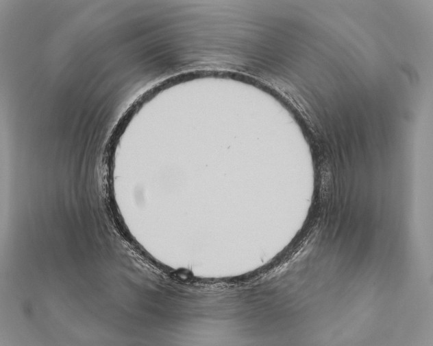 X0000111360926200908211254