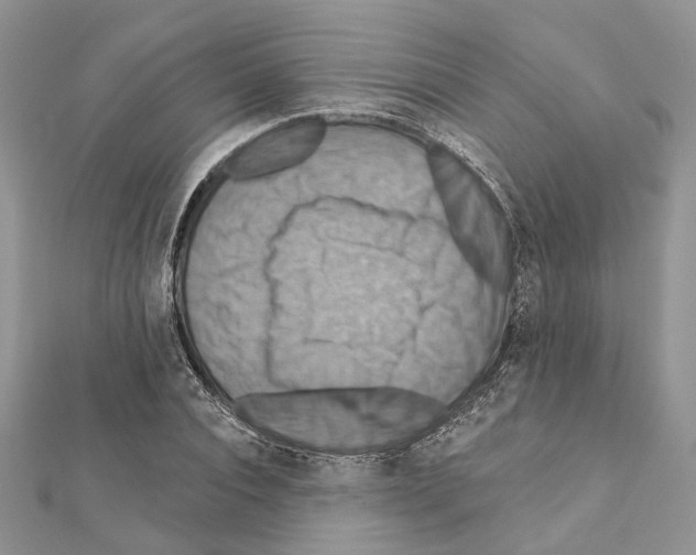 X0000111360928200908211254