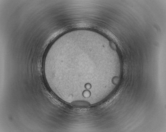 X0000111360930200908211254