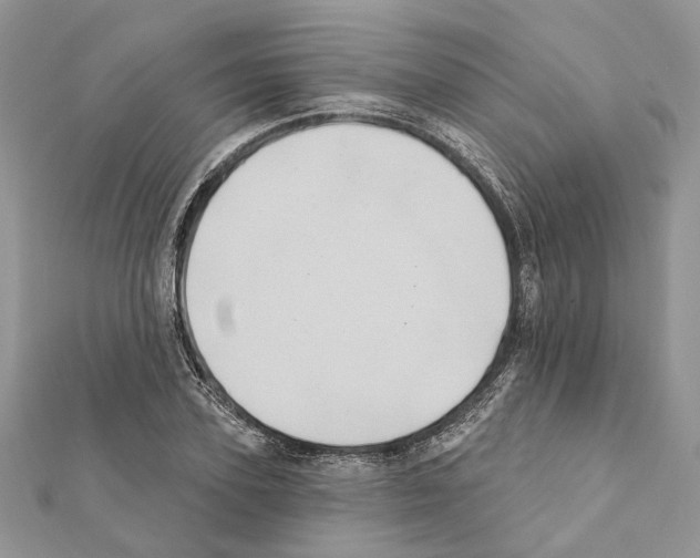 X0000111360931200908211254
