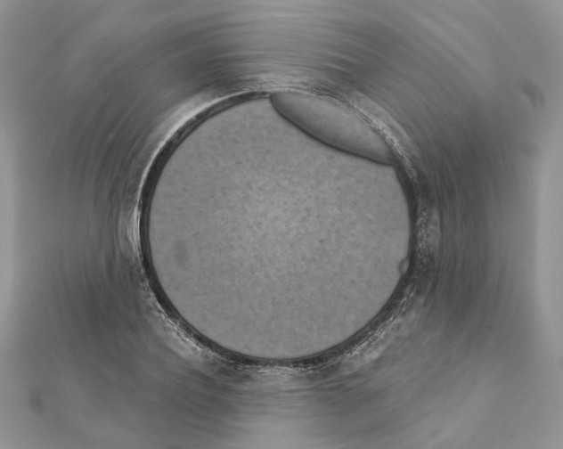 X0000111360932200908211254
