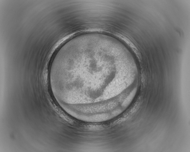 X0000111360933200908211254