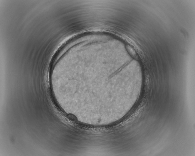 X0000111360934200908211254