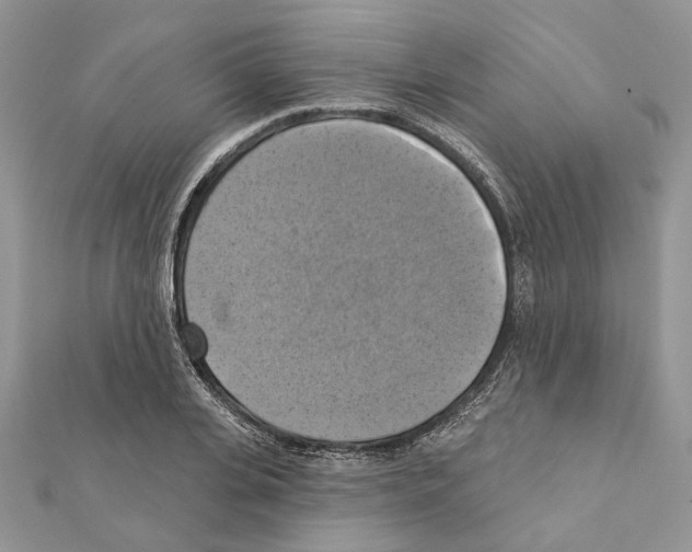 X0000111360935200908211254