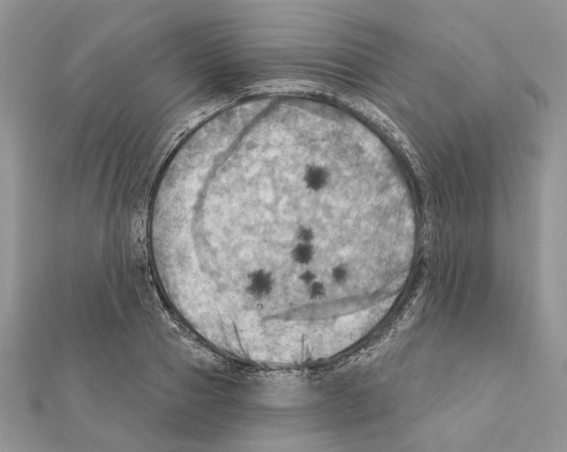 X0000111360937200908211254