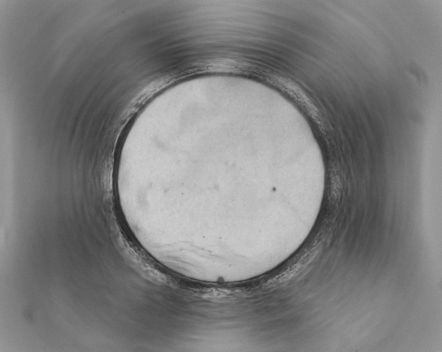 X0000111360938200908211254