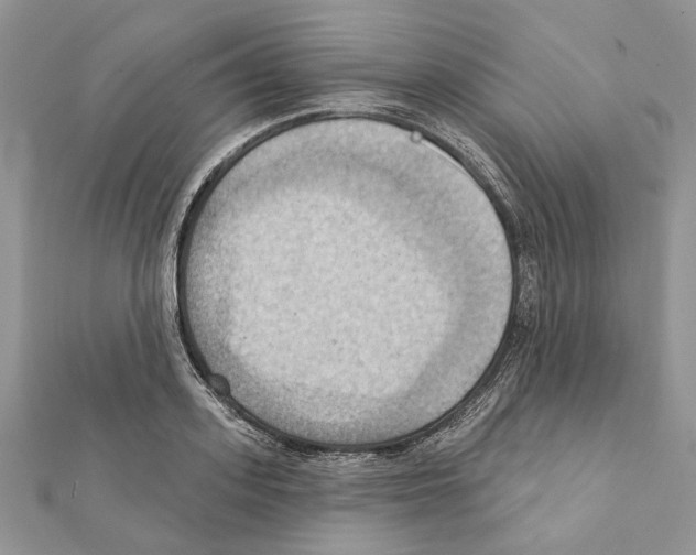 X0000111360939200908211254