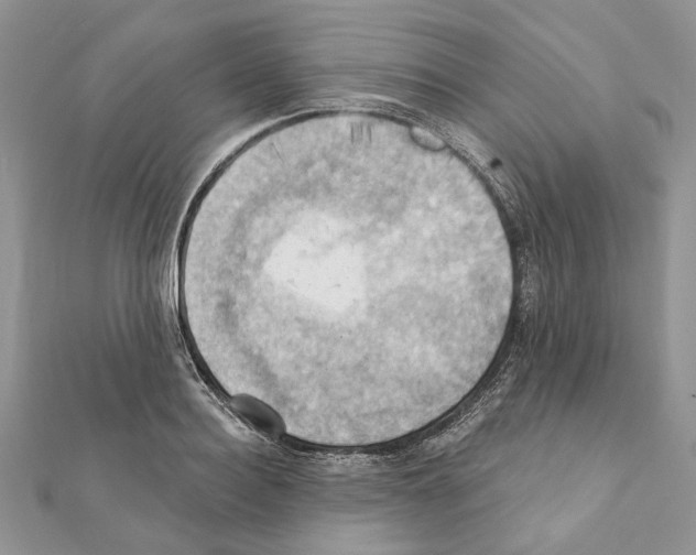 X0000111360940200908211254