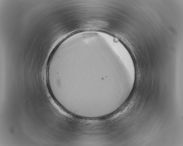 X0000111360941200908211254
