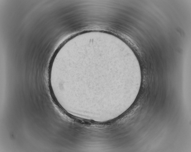X0000111360942200908211254