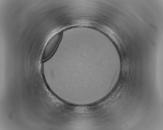 X0000111360944200908211254