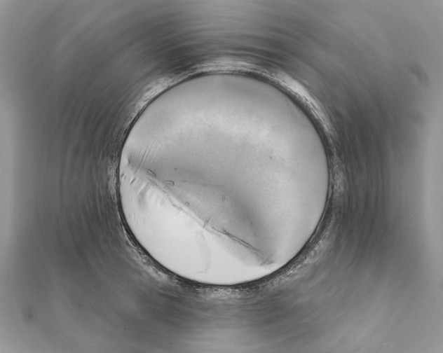 X0000111360945200908211254