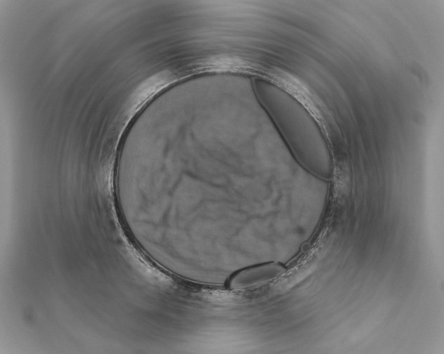 X0000111360946200908211254