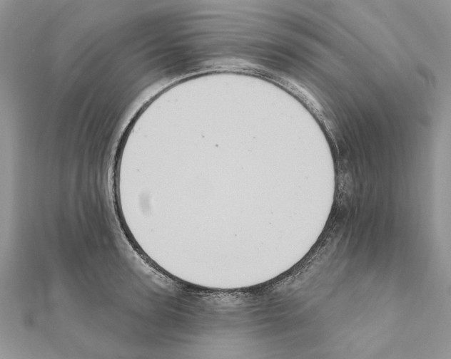 X0000111360947200908211254