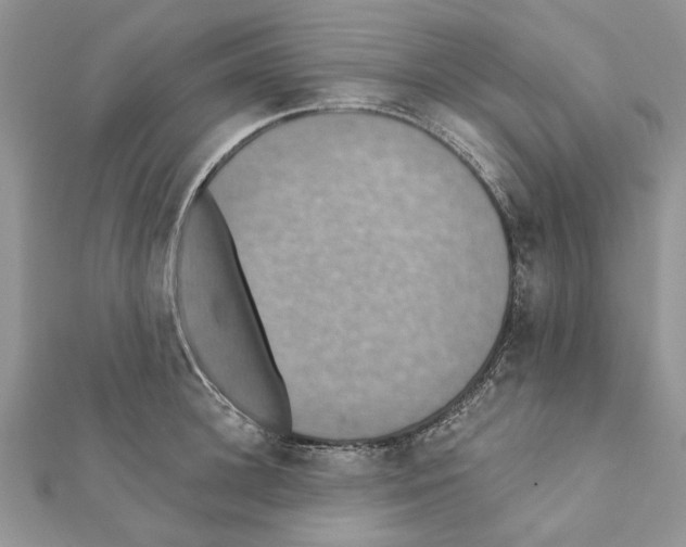 X0000111360948200908211254