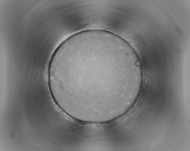 X0000111360950200908211254
