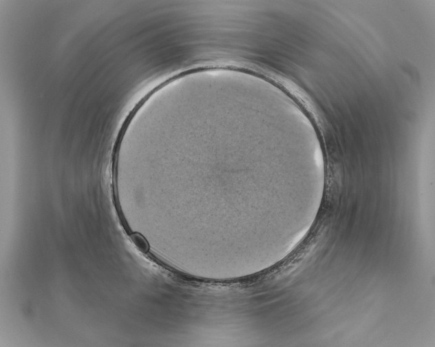 X0000111360951200908211254