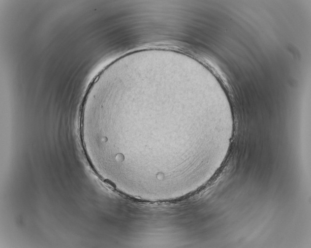 X0000111360952200908211254