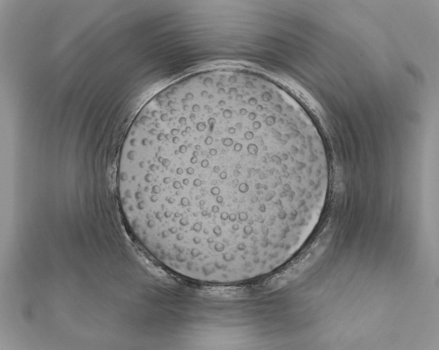 X0000111360953200908211254