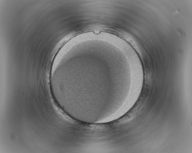 X0000111360954200908211254