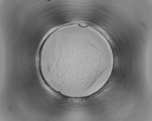 X0000111360955200908211254