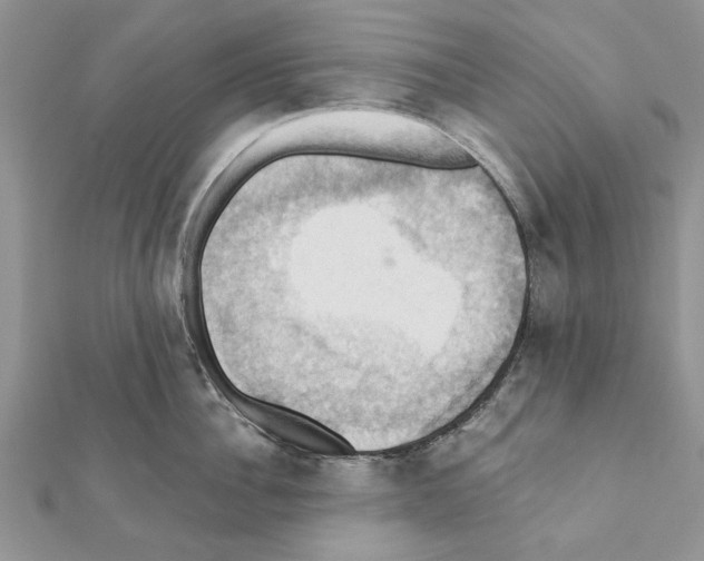 X0000111360956200908211254