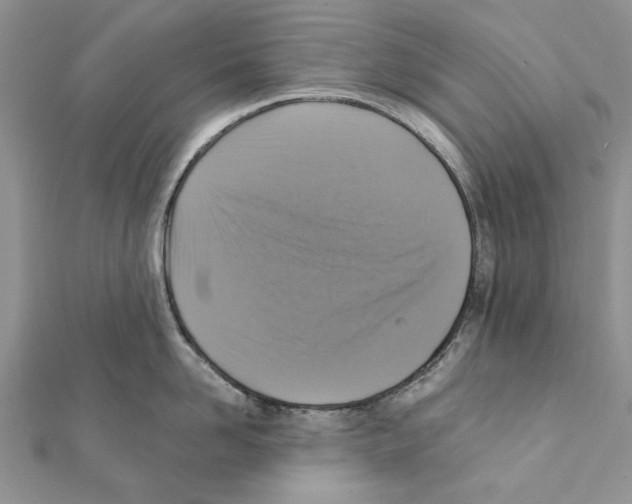 X0000111360958200908211254