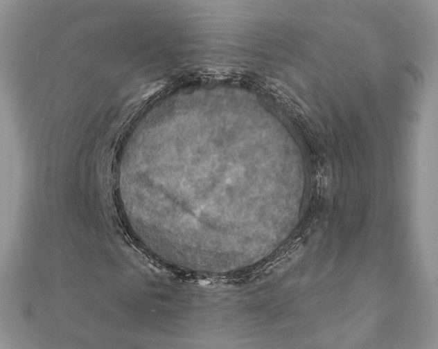 X0000111360961200908211253