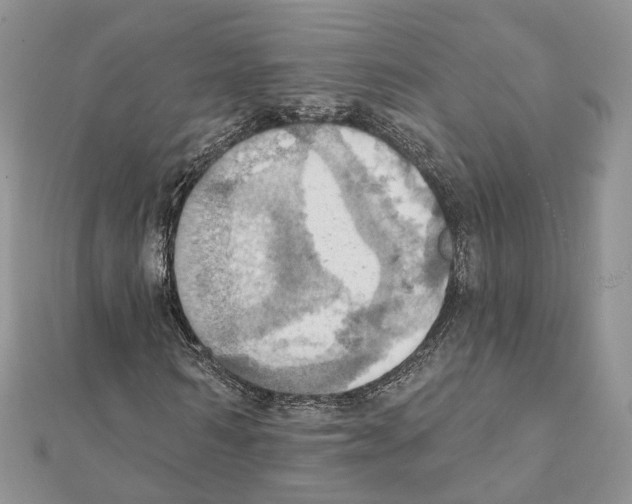 X0000111360962200908211253