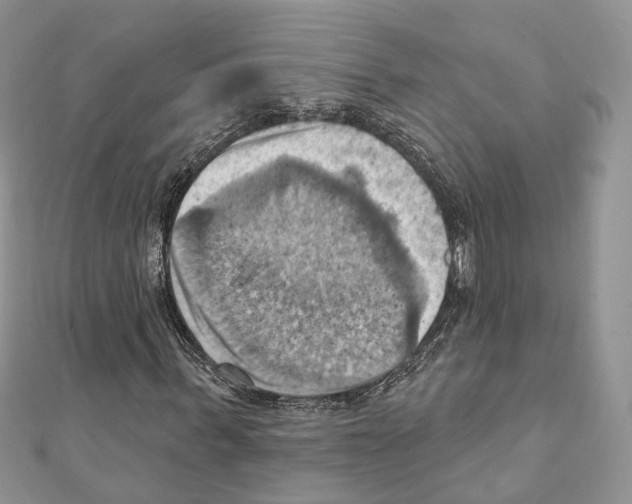 X0000111360963200908211253