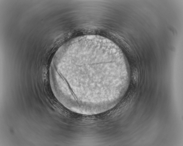 X0000111360964200908211253