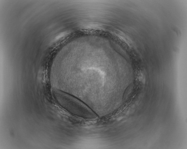 X0000111360965200908211253