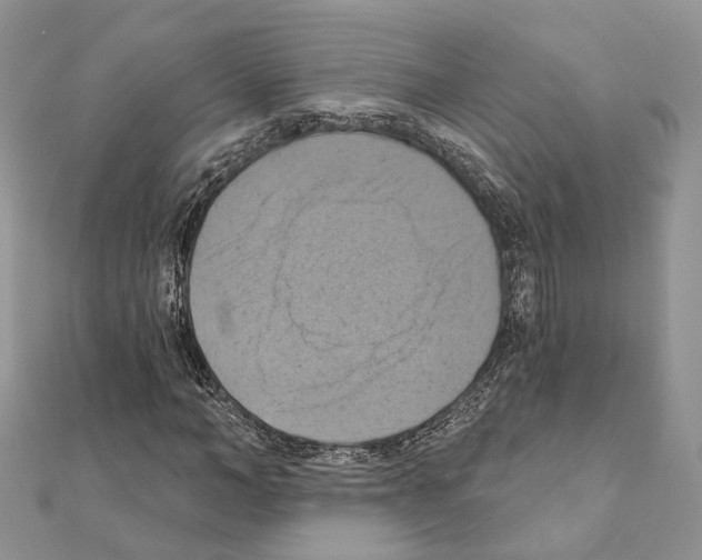 X0000111360966200908211253