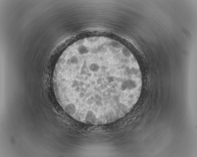 X0000111360967200908211253