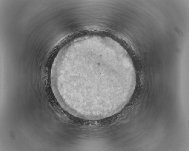 X0000111360968200908211253