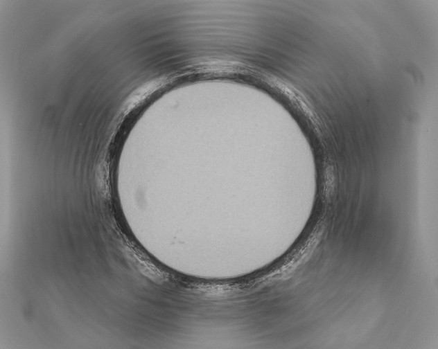 X0000111360970200908211253