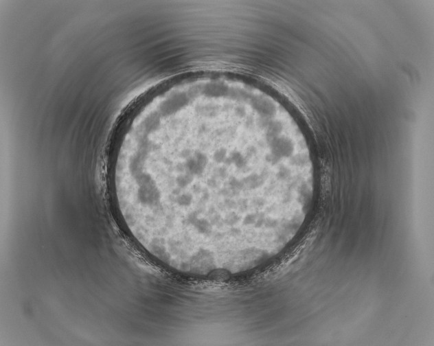 X0000111360971200908211253