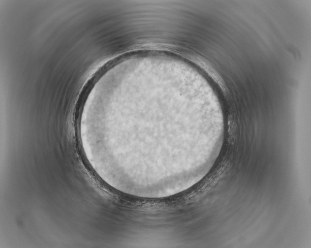 X0000111360972200908211253