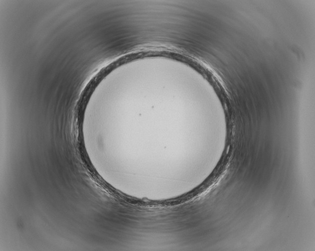X0000111360973200908211253