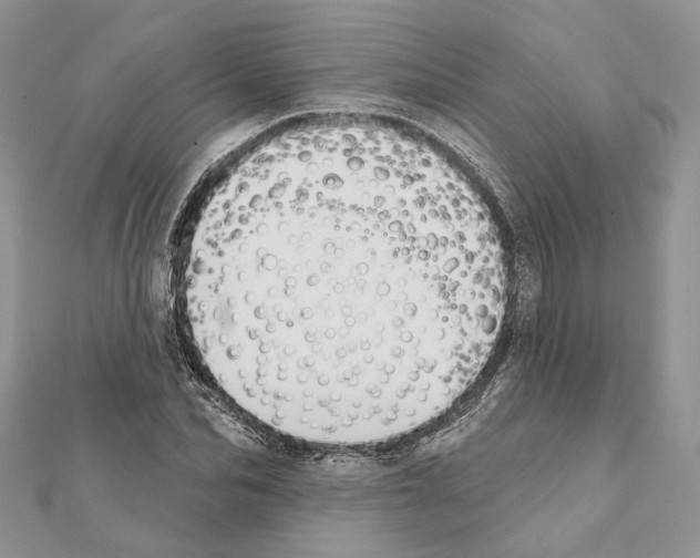 X0000111360974200908211253