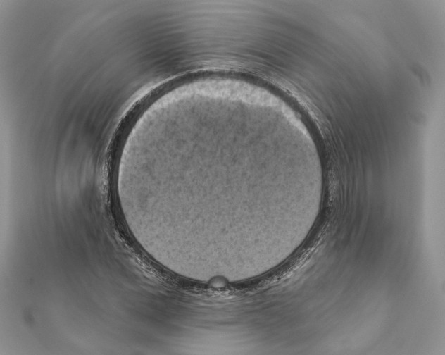 X0000111360975200908211253