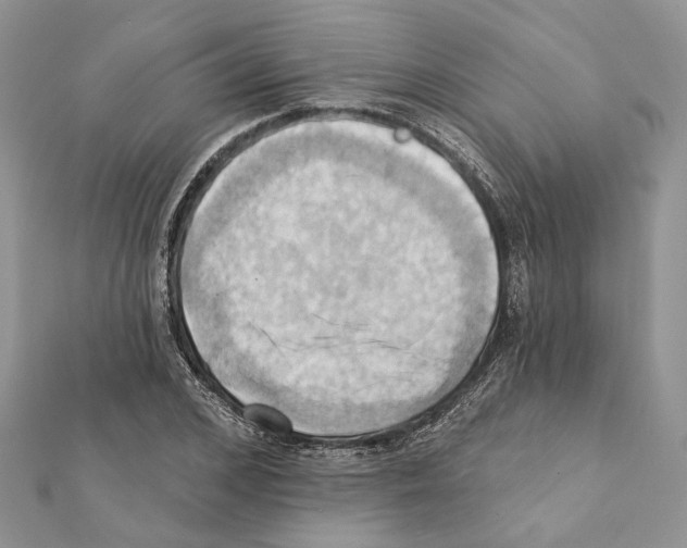 X0000111360976200908211253