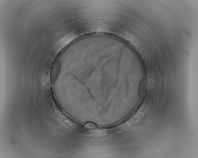 X0000111360977200908211253