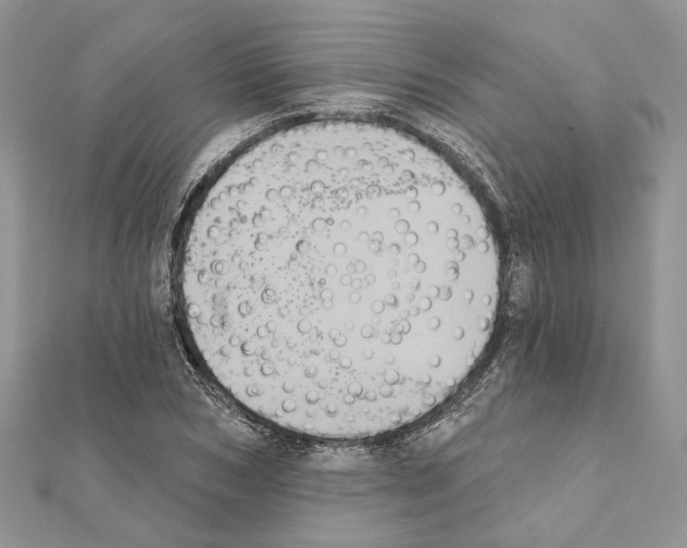 X0000111360978200908211253