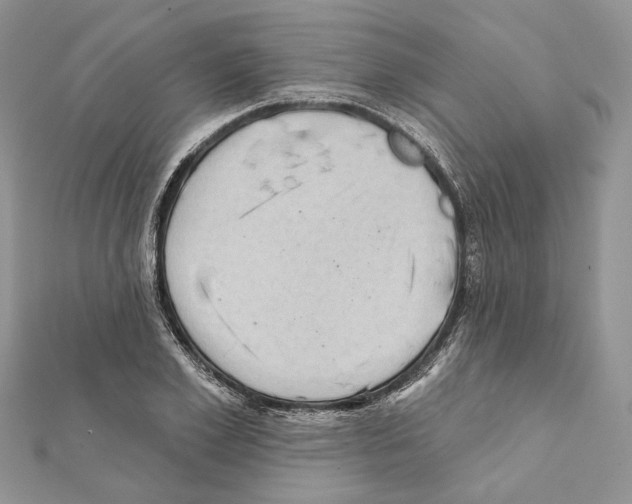 X0000111360981200908211253