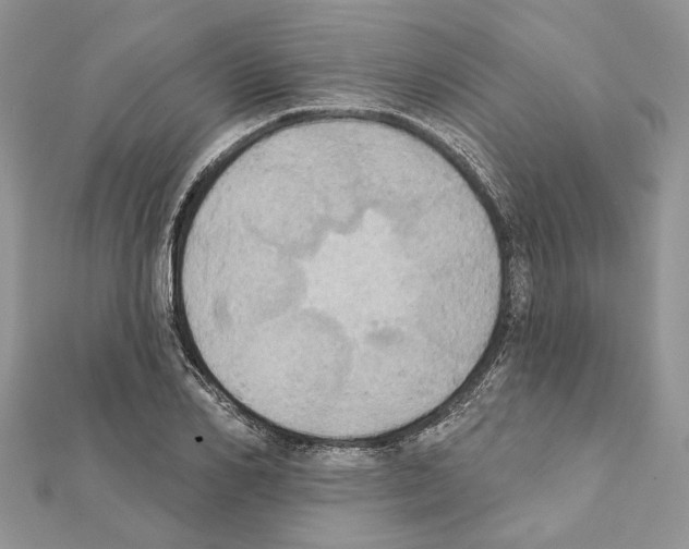 X0000111360982200908211253